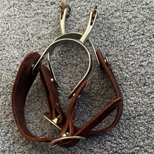 Western spurs with gold rawls and brown leather straps.